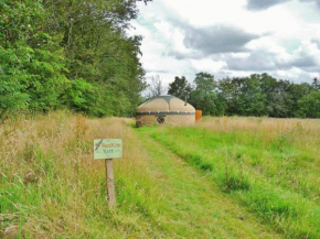 Orchid Meadows